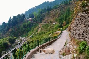 Delhi to Dharamshala Trip